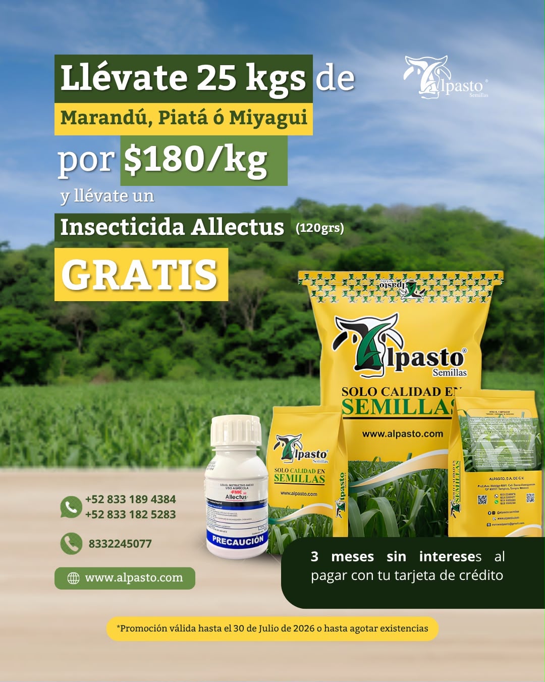 PROMOCION MES DE JULIO